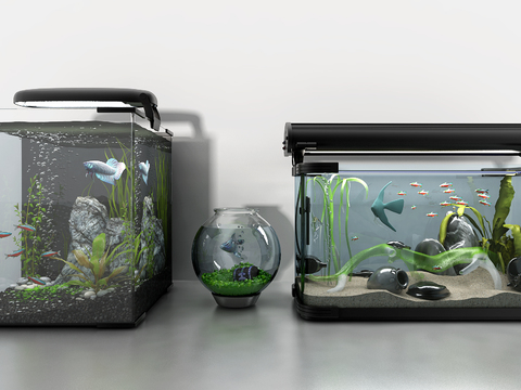 Modern glass fish tank