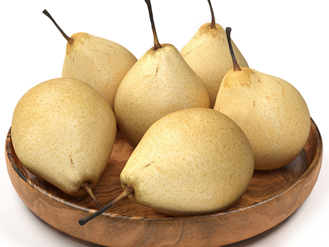 Modern Fruit Pear