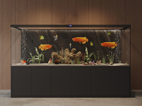 aquarium aquarium