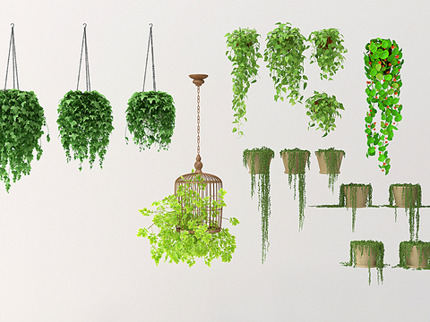 Modern Green Plant Hanging Basket Free