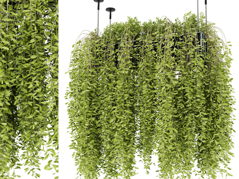 Modern hanging plant potted hanging basket