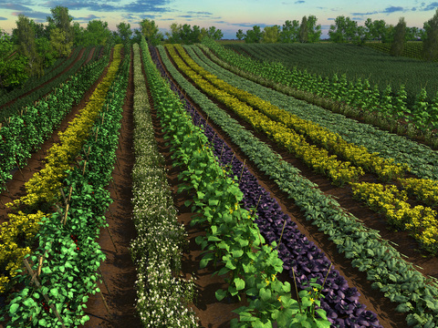 Landscape of Modern Farm Industrial Park