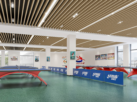 modern table tennis hall