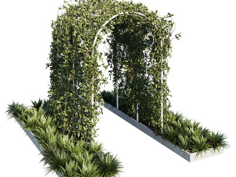 Modern plant arch gardening sketch