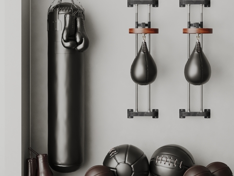 Boxing Equipment Sandbags Leather Balls