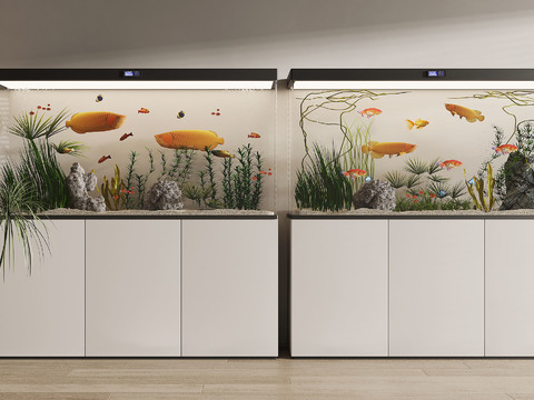 Fish tank aquarium