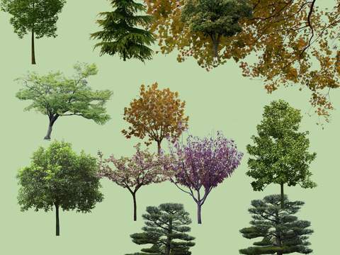 green trees psd