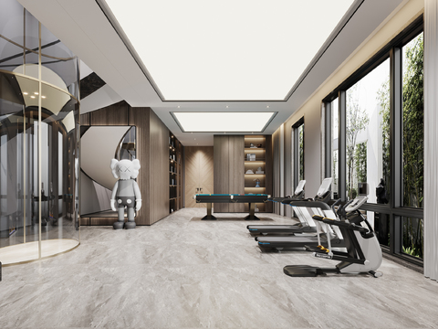 Modern Home Gym Billiard Room