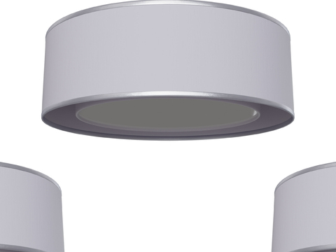 Modern Ceiling Light Free