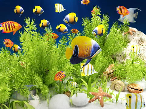 Modern ornamental fish