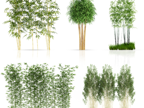 Modern Green Plant Bamboo