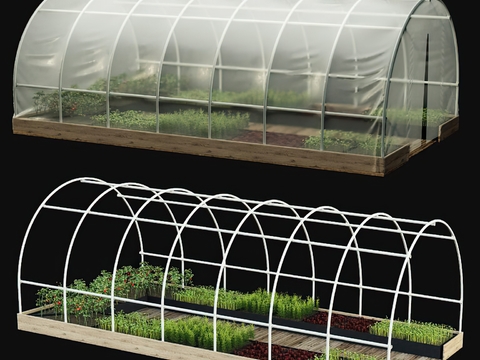 Modern Greenhouse Vegetable Greenhouse