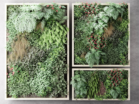 Modern Green Plants and Plants Wall