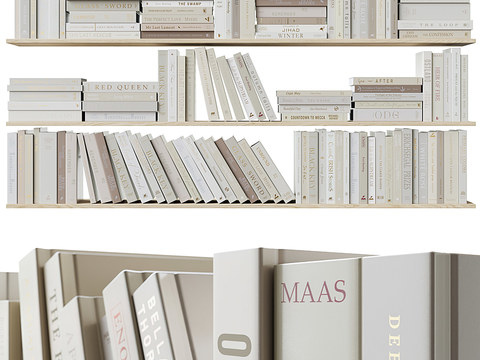 Modern Book Bookshelf