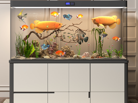 Fish tank aquarium