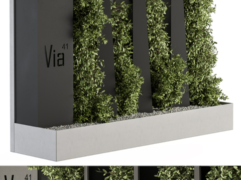 Vine plant wall flower bed wall