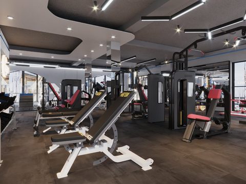 Modern Affordable Luxury Style Creative Gym Free