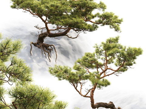 Neo-Chinese Style Welcome Pine Tree