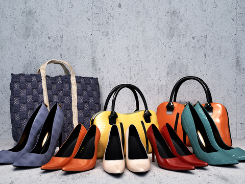 Modern Ladies Handbag High Heels