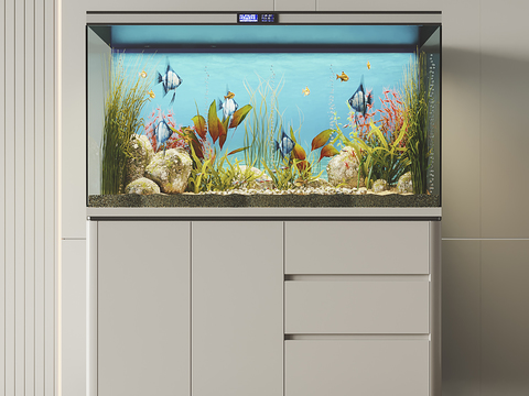 Fish tank aquarium