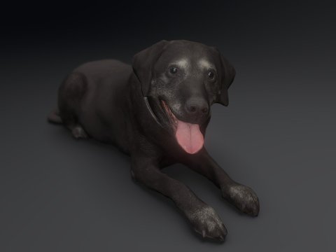 Modern Black Dog Free