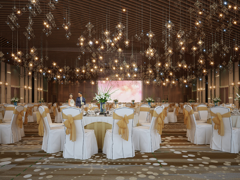 Modern Hotel Ballroom