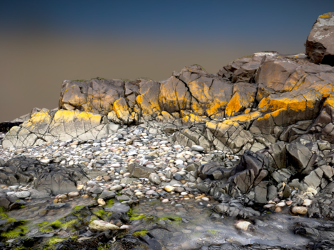 Modern seaside reef landscape