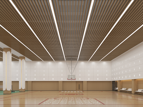 Basketball Hall Badminton Hall Sports Hall