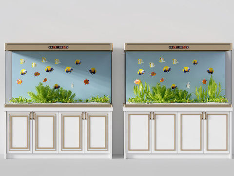 Modern fish tank