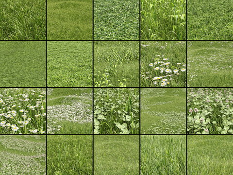 Modern Grassland Collection