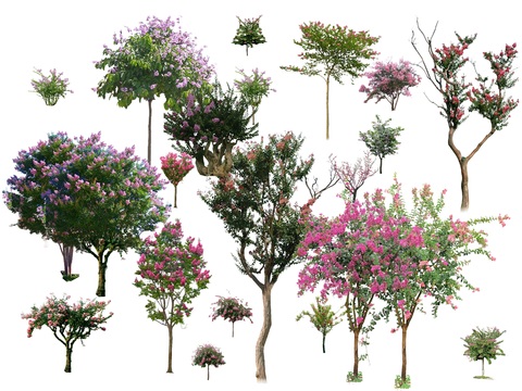 crape myrtle trees landscape tree psd