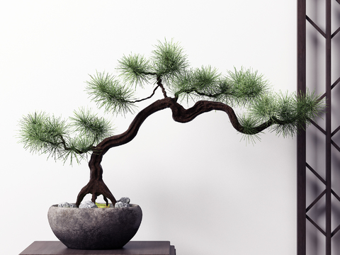 New Chinese Pine Pot