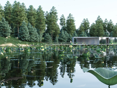 Modern Lotus Pond Landscape