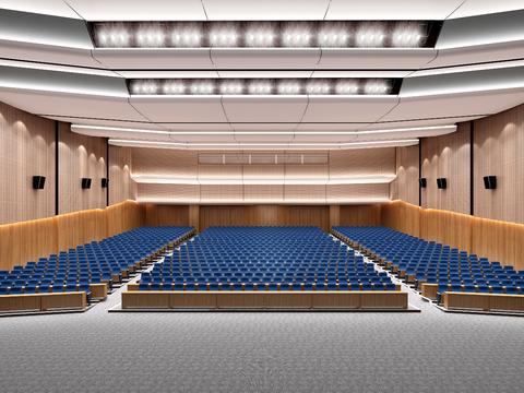 Lecture Hall Large Conference Hall Ladder Meeting