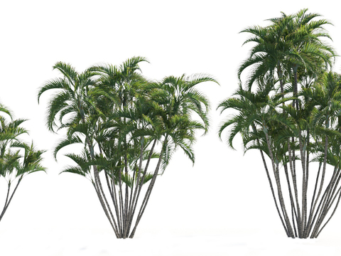 Modern plant sargasso