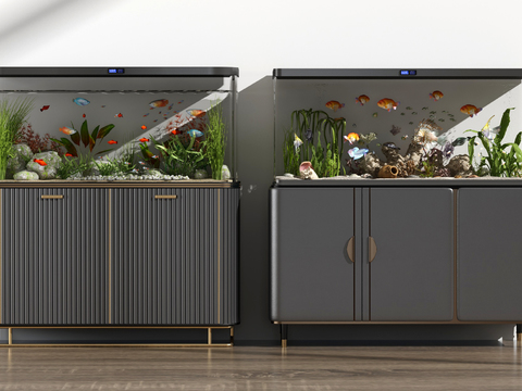 Modern fish tank