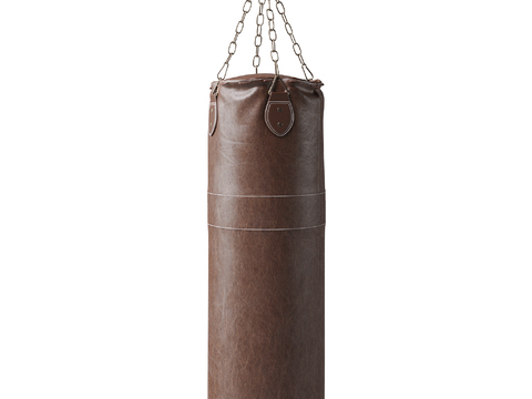 Modern Leather Boxing Sandbag