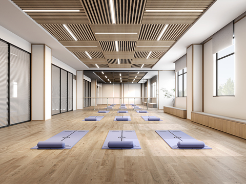 Modern Yoga Studio