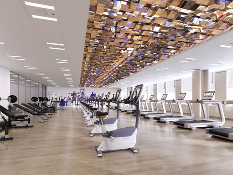 Modern Gym