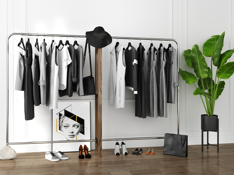 Modern Women's Clothing Hanger Shelf