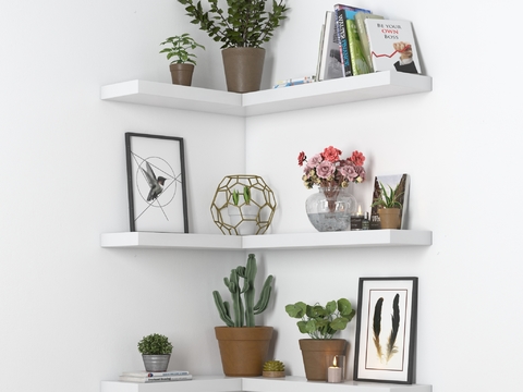 Nordic Wall Frame Potted Plant Ornaments Combination