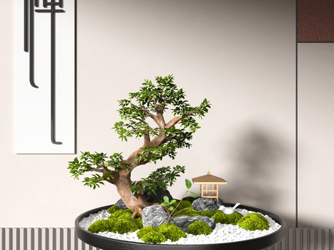 New Chinese Moss Bonsai