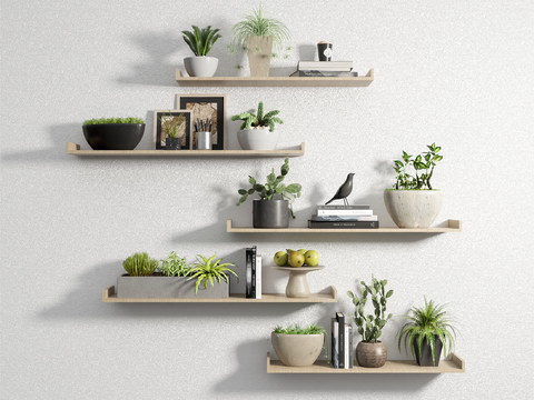 Modern green plant potted ledge