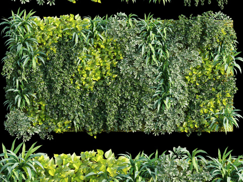 Modern Green Plant Wall