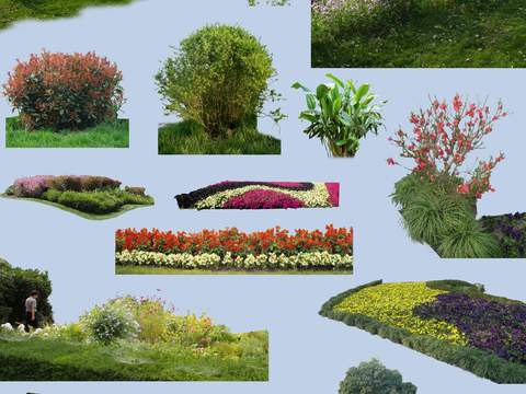 modern bushes flowers green plant psd