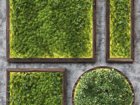 Modern moss plant wall