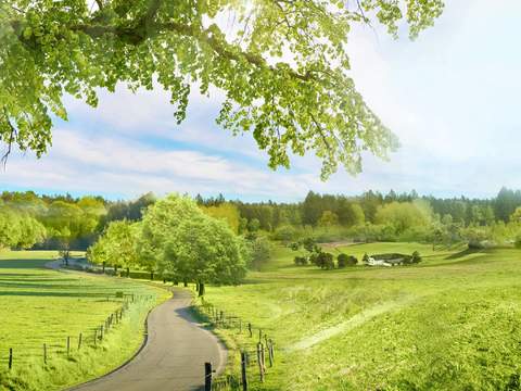 park landscape spring psd