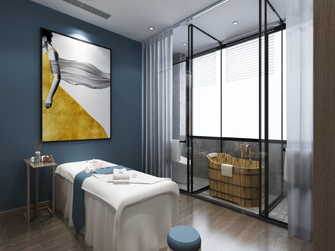 Modern spa beauty room free