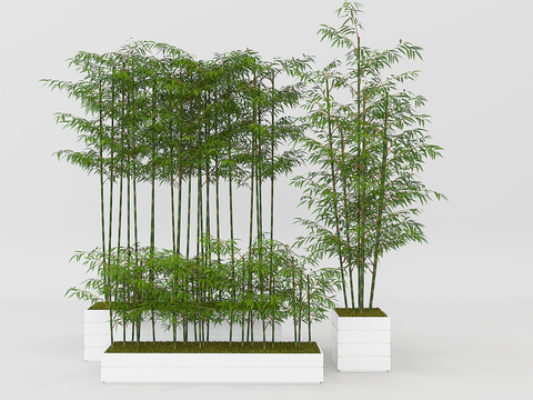 Modern Bamboo Free