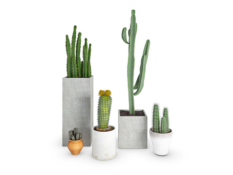 Modern plants potted free